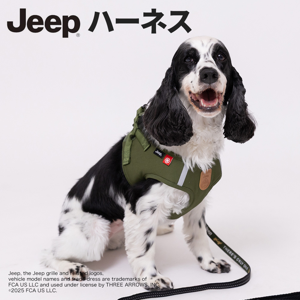 JEEPハーネス