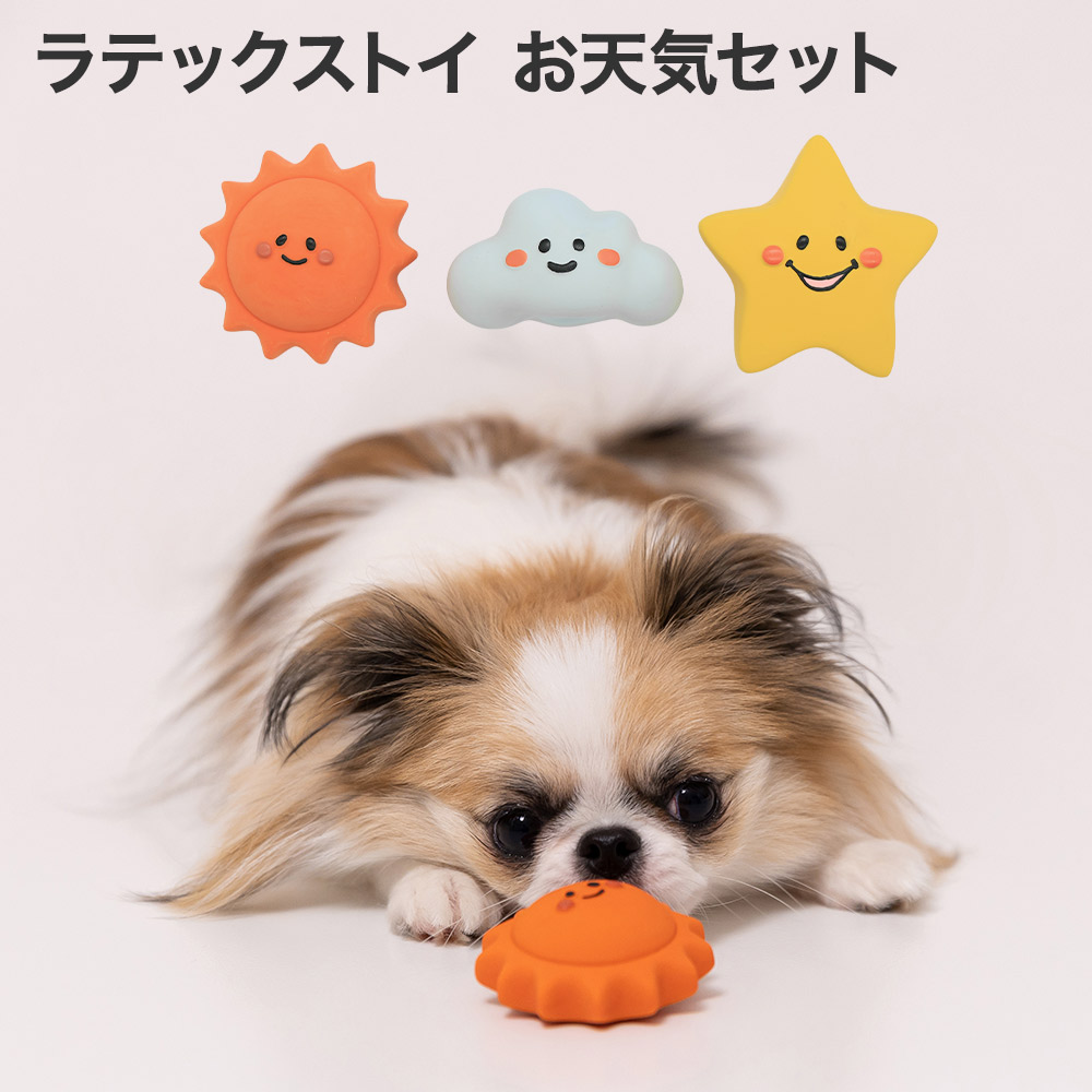 おすわりくまさん ラテックストイ（36個入りセット）