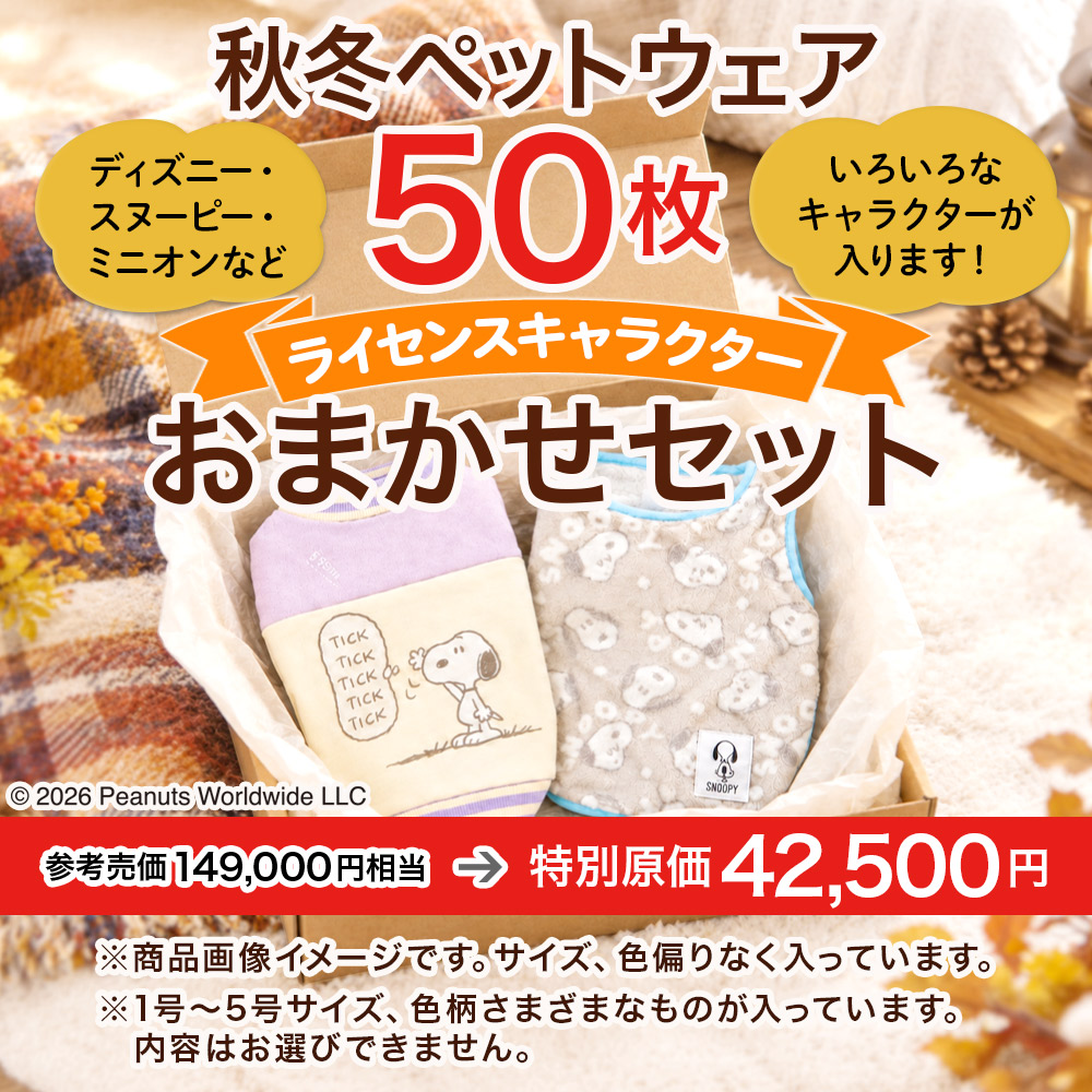 おまかせ秋冬ウェア キャラクターアソート（50枚入り）