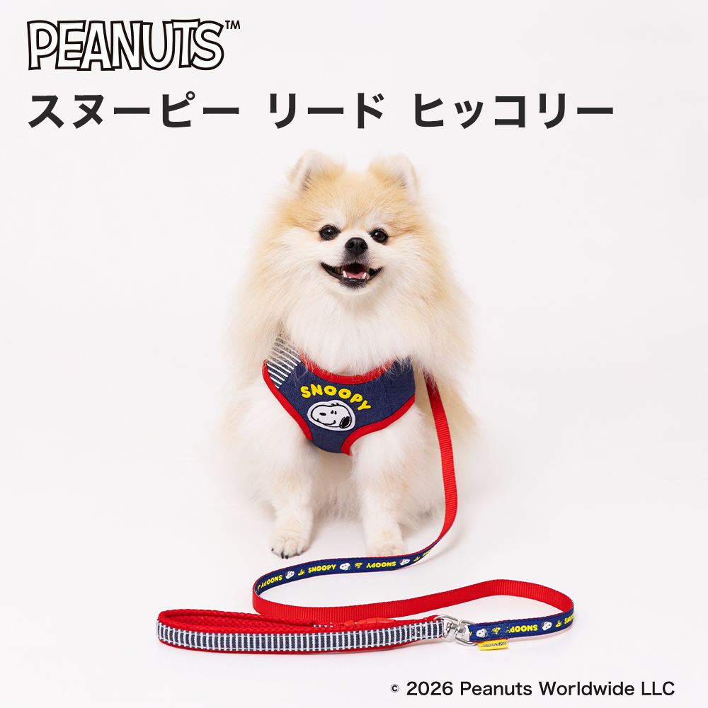 スヌーピー リード ヒッコリー