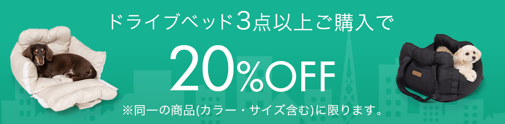 ドライブベッドまとめ買い