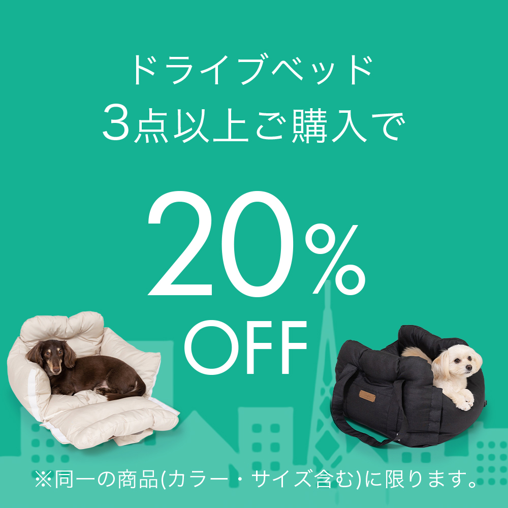ドライブベッドまとめ買い