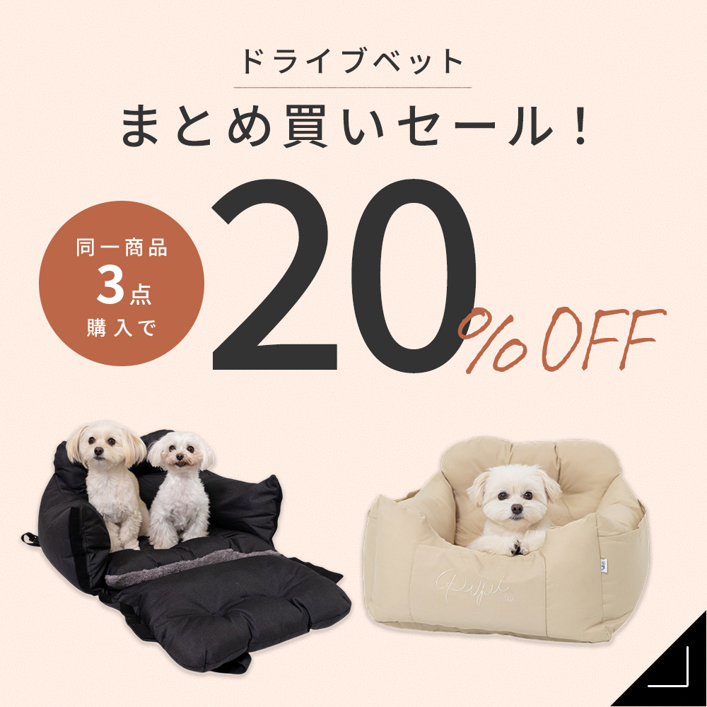 ドライブベッドまとめ買い
