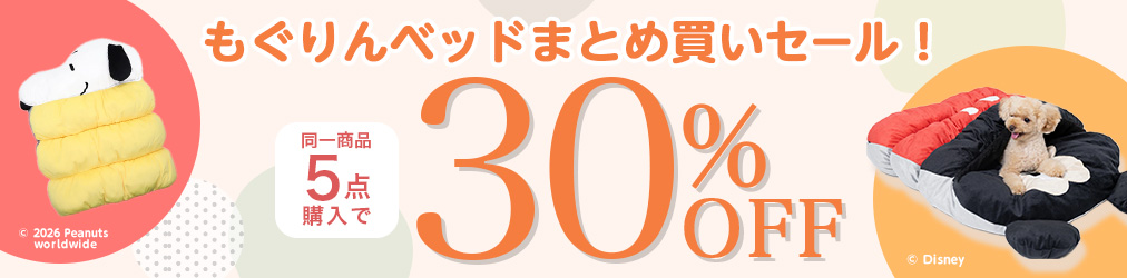 もぐりんベッドSALE