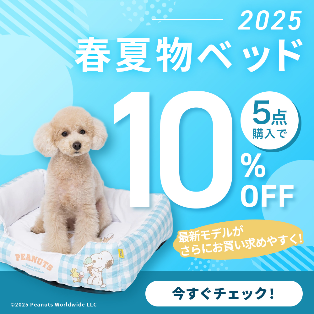 25SSベッド５点10％OFF