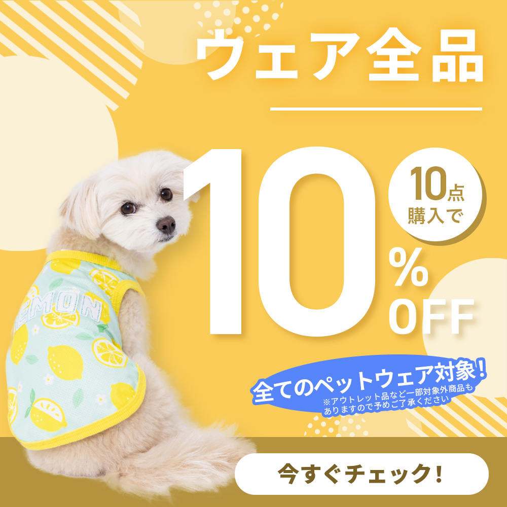 ウェア10点購入で10%OFF