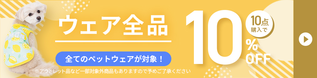 ウェア10点購入で10%OFF
