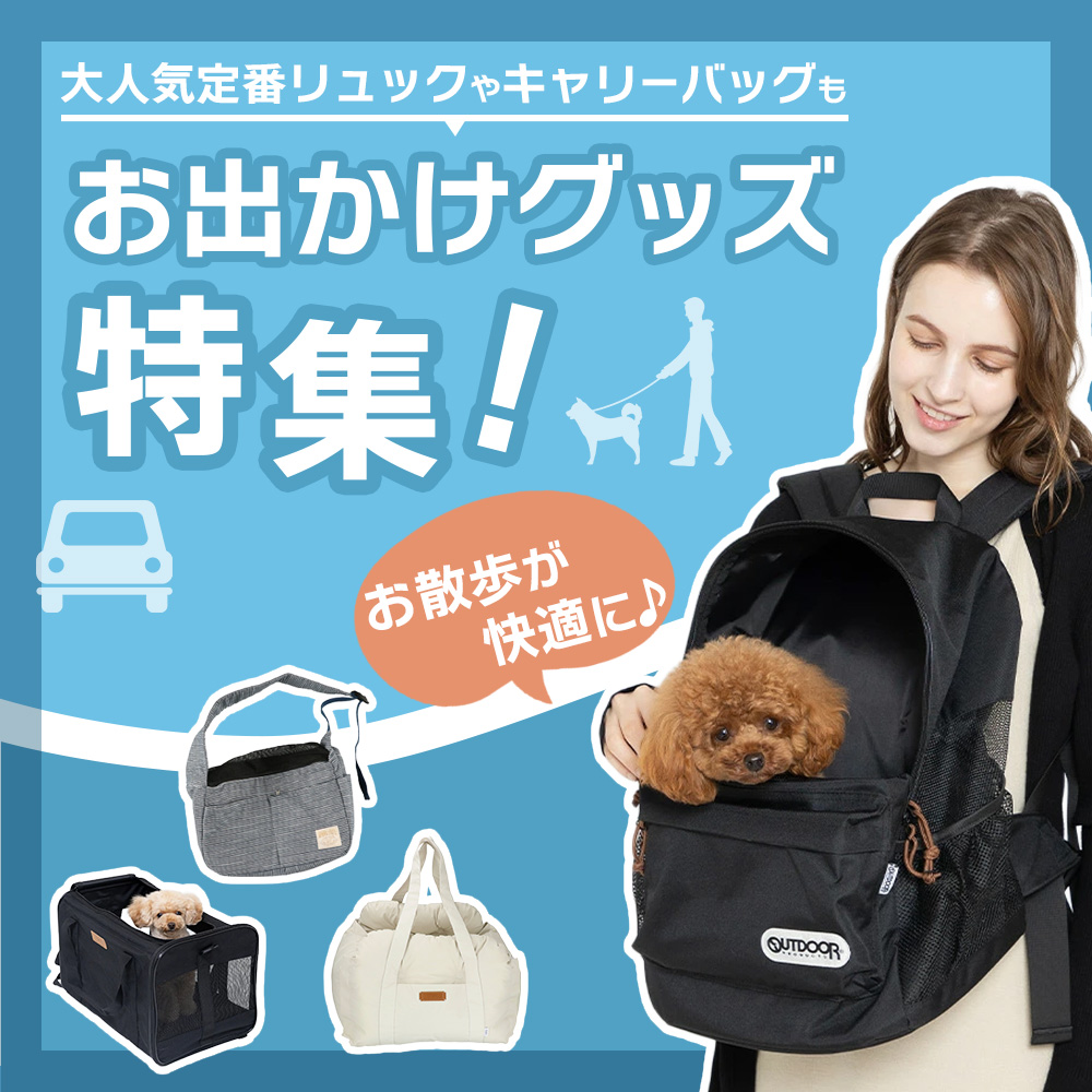 お出かけグッズ