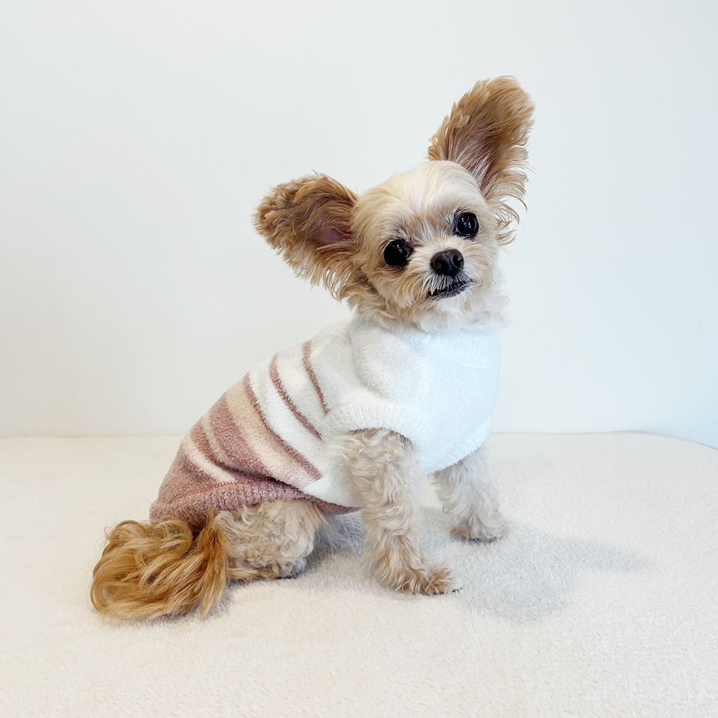 犬服・ペットウェア | 株式会社スリーアローズ BtoBサイト ペット用品