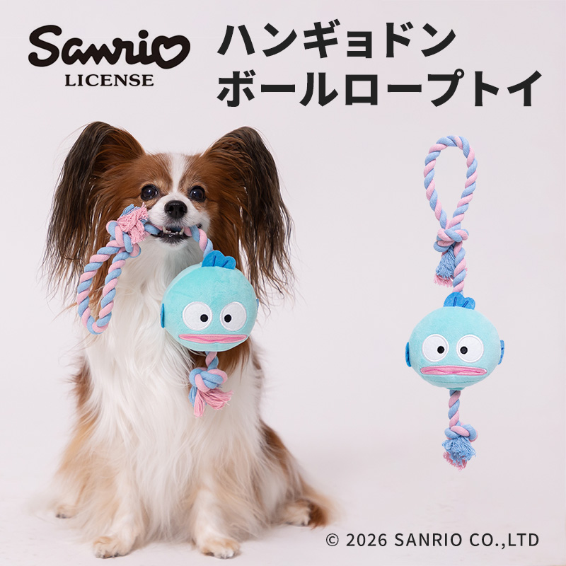 【5点購入で10％OFF】ハンギョドンボールロープトイ