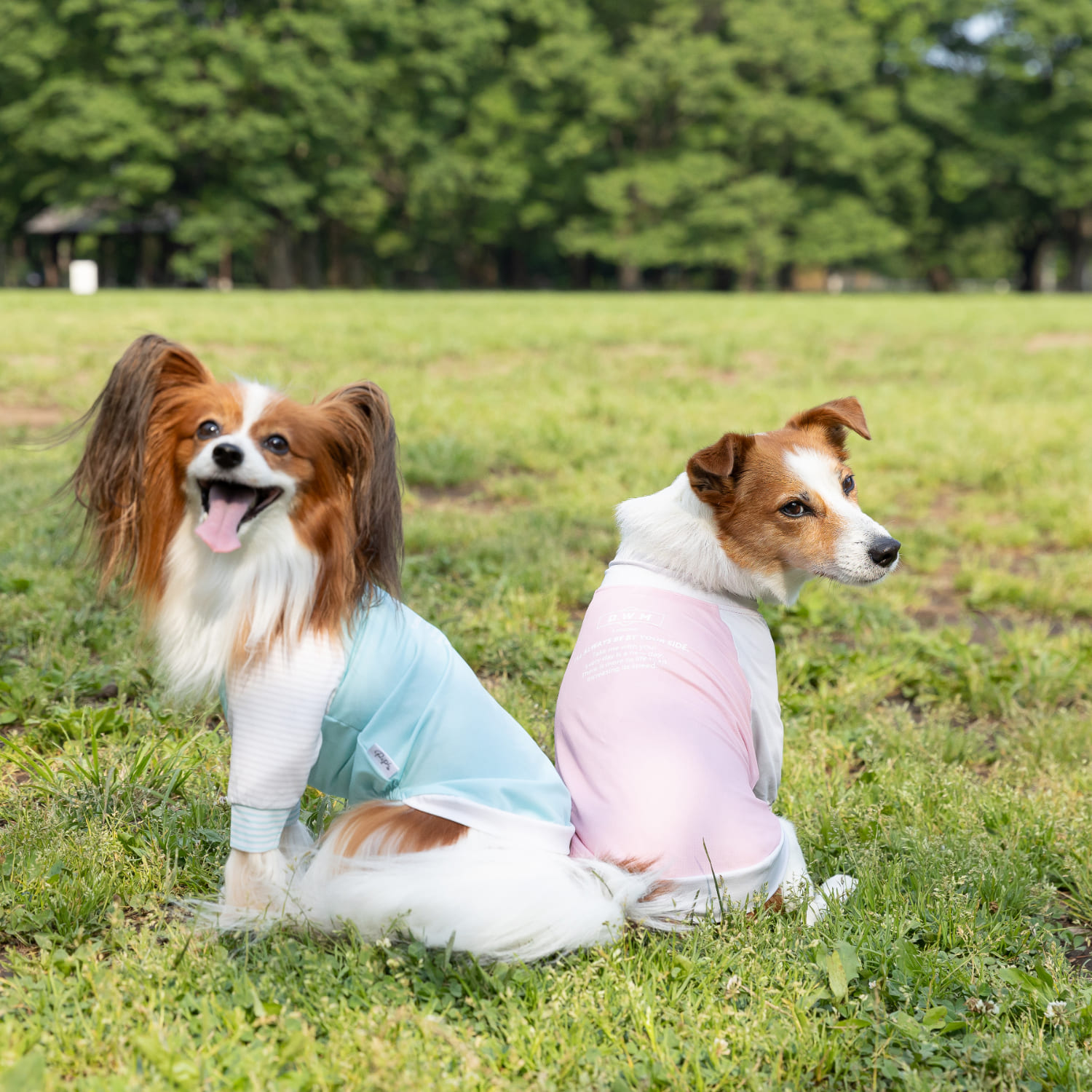 pipi 虫よけ メッシュ Tシャツ 防虫ウェア