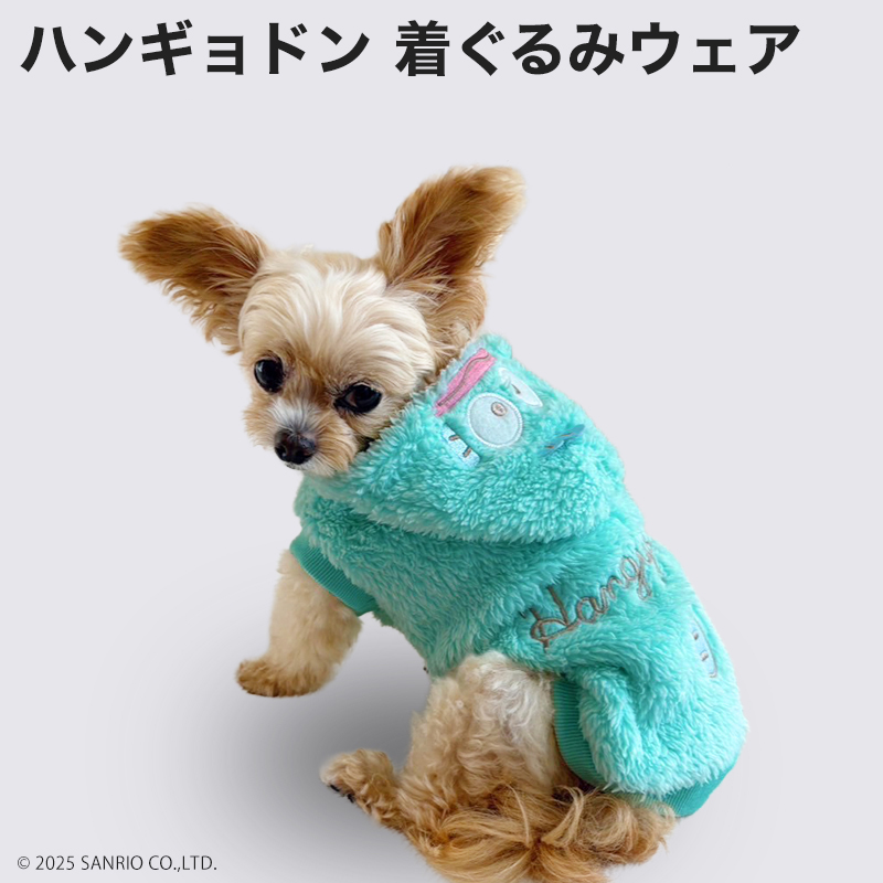 ハンギョドン 着ぐるみウェア