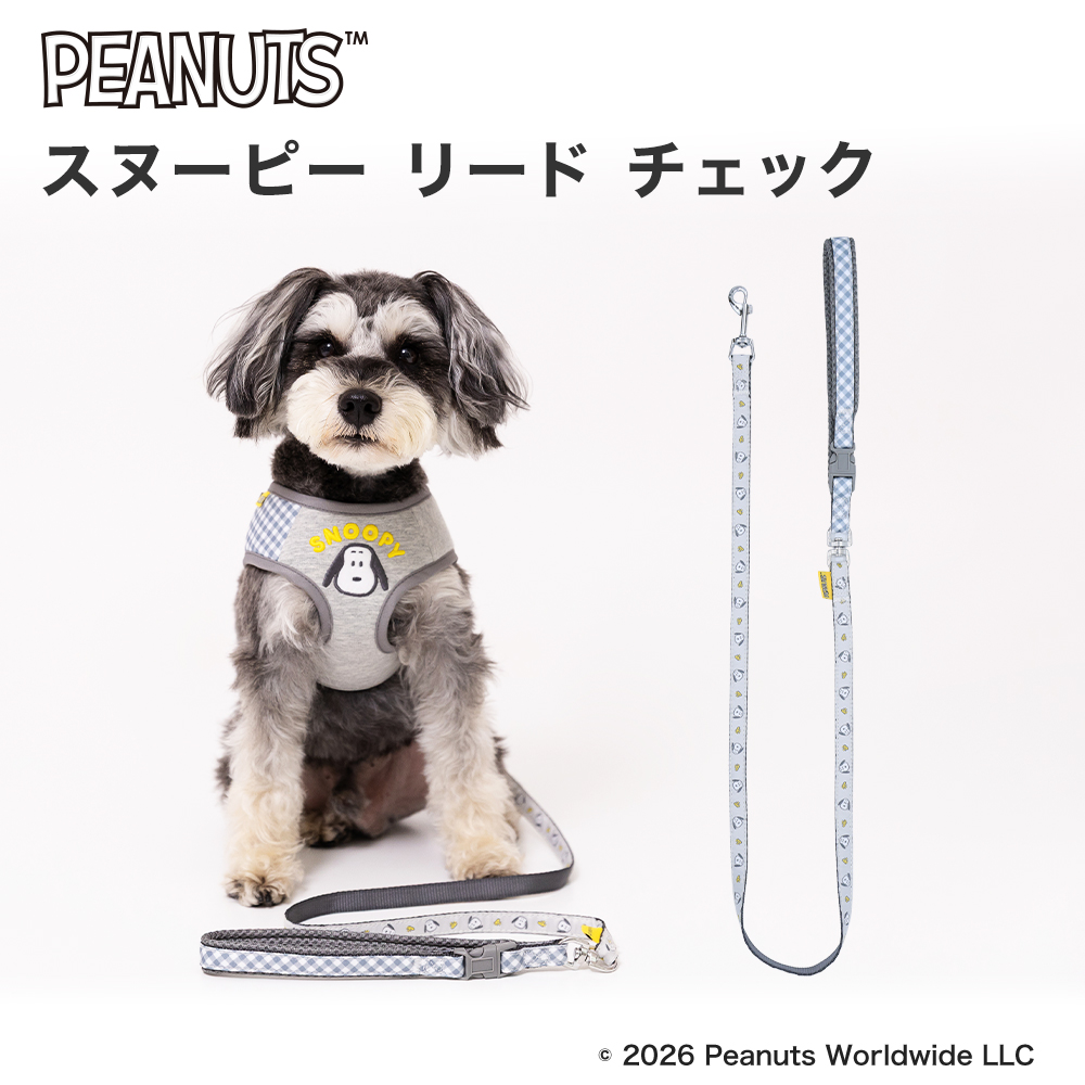 スヌーピー リード チェック