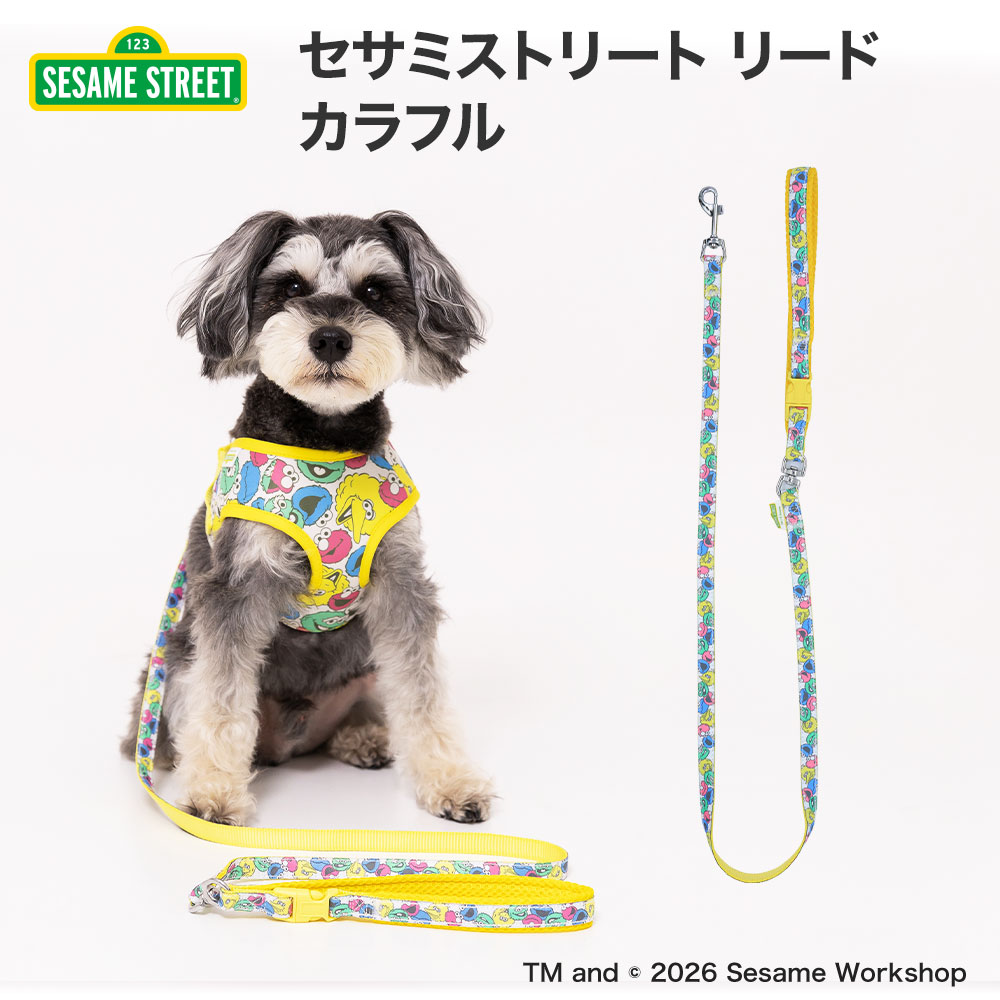 セサミストリートリード カラフル