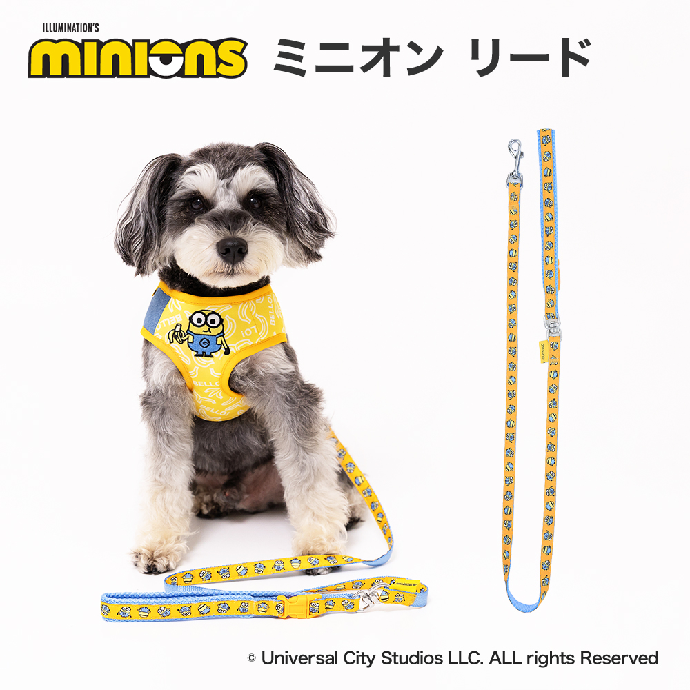 minionsリード